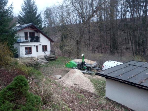 Kácení a následná kultivace