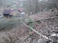 Název