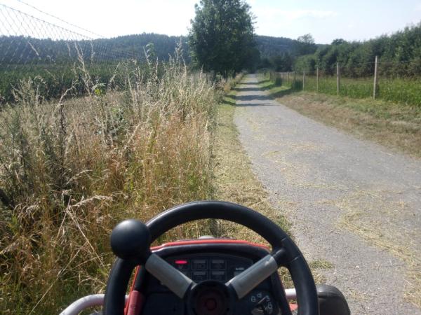 Údržba zeleně podél místních komunikací